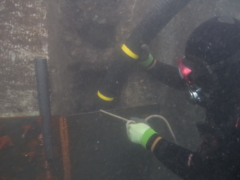 【求人中】潜水士にはどんなやりがい・楽しさ・魅力があるの？